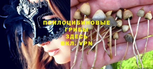 молекула духа Алзамай