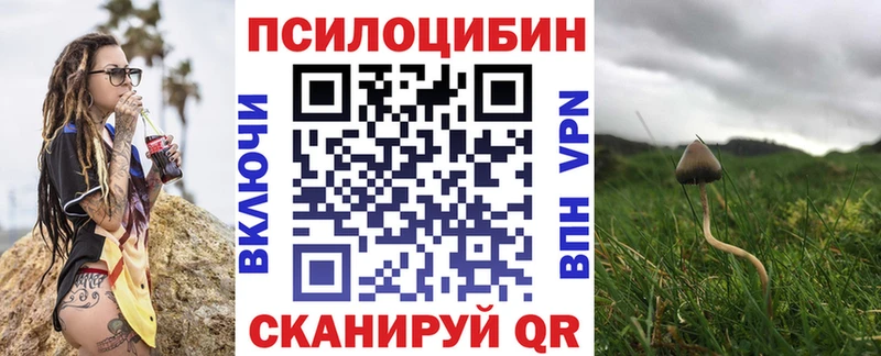 купить  сайты  Ишимбай  Галлюциногенные грибы Cubensis 